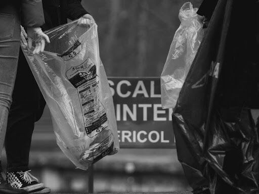 How to Choose the Best Compostable Trash Bags for a Sustainable Home